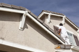 The Villages FL painting contractor services
